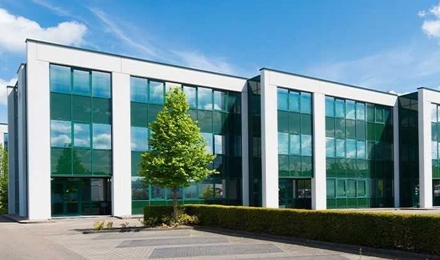 Commercial Pest Control