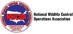 NWCOA NWCOA